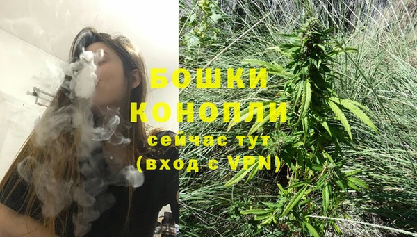 PSILOCYBIN Краснотурьинск