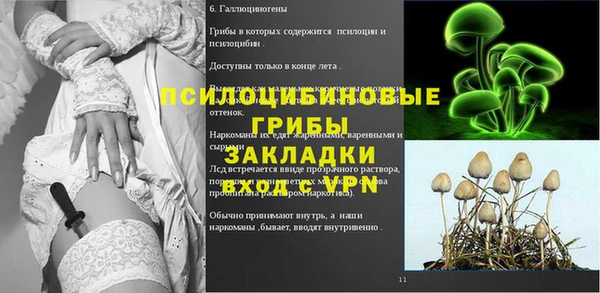 эйфоретик Зеленокумск