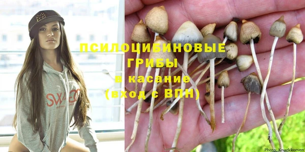 spice Зерноград