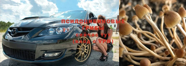 jwh Зеленодольск