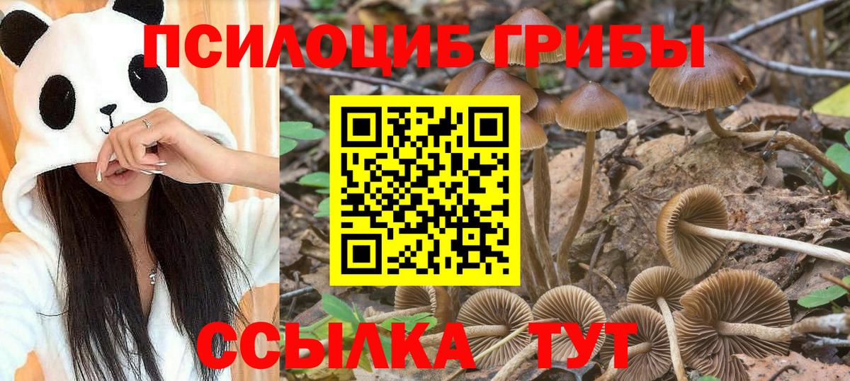 Псилоцибиновые грибы мицелий  Вход с VPN  Галлюциногенные грибы MAGIC MUSHROOMS  Арзамас 
