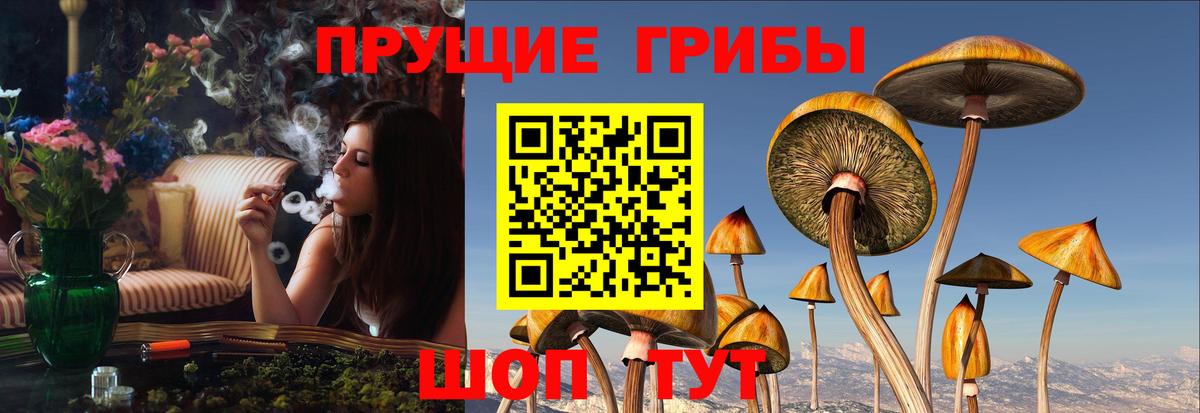 Галлюциногенные грибы Magic Shrooms Арзамас