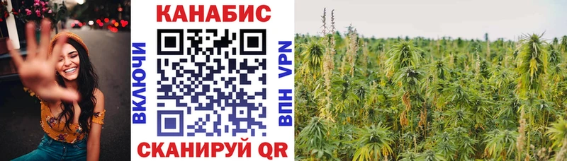 Канабис сатива это как зайти Арзамас мега ссылки
